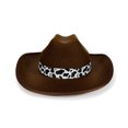 thumbnail image 5 of TTUHYWXI Western Cowgirl Hat for Kids Girls Boys Wide Brim Felt Vintage Fedora Cap with Cow Print Decorative Band (3-15 Years, Coffee), 5 of 5