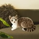 thumbnail image 4 of Preciosos juguetes de peluche de gato, relleno de felpa animal, agradable para la piel, simulación de gatos siameses 25cm, 4 of 7