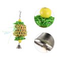 thumbnail image 4 of EeaseCA Bird Swing Toys Hanging Chewing Rattan Toys For Conures Parrots with Bell, 4 of 7