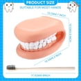 thumbnail image 2 of 1 Piezas de Marioneta de Boca con Dientes de Lengua Boca Marioneta de Mano Modelo de Boca Dental con Cepillo de Dientes para Niño Niña Herramienta Educativa, 2 of 7