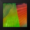 thumbnail image 2 of Simons 20x20 Black Modern Framed Museum Art Print Titled - Fondly II, 2 of 5