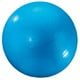 Dick Martin Sports Masgym24 Ballon d'Exercice 24en Bleu – image 2 sur 3