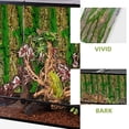 thumbnail image 3 of LEEYNEER Reptile Box Backdrop Reptile Fogger Terrarium Background Landscape Photography Board Reptile Tank Background, 3 of 6
