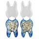 thumbnail image 4 of 1 caja Dental corona temporal chapa dientes de porcelana dientes molares delanteros y traseros, 4 of 5