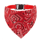 thumbnail image 1 of Collar Paliacate para perro Rojo- talla Grande -Mekano, 1 of 4
