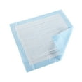 thumbnail image 4 of McKesson Classic Underpads, Light Incontinence Absorbency - 23 in x 24 in, 25 Ct, 4 of 7