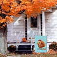 thumbnail image 3 of Hello Thanksgiving House Flag for Front Door Yard Backyard Farmhouse Garden Decoration 28x40 Inch, Happy Thanskgiving Turkey Cute Versatile Chic Garden Flag Thanksgiving Day Cartoon Garden Decoration, 3 of 6