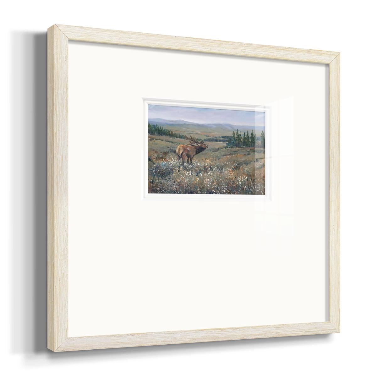 Western Wildlife IPremium Framed Print