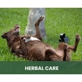 thumbnail image 2 of Gou Gou Pets Holistic Natural Anti-Fungal Shampoo for Dogs & Pets: Relieve Itching & Flaking Skin Caused by Fungal Infections & Skin Conditions with Natural & Clean Ingredients - Made in USA - 16 oz, 2 of 9