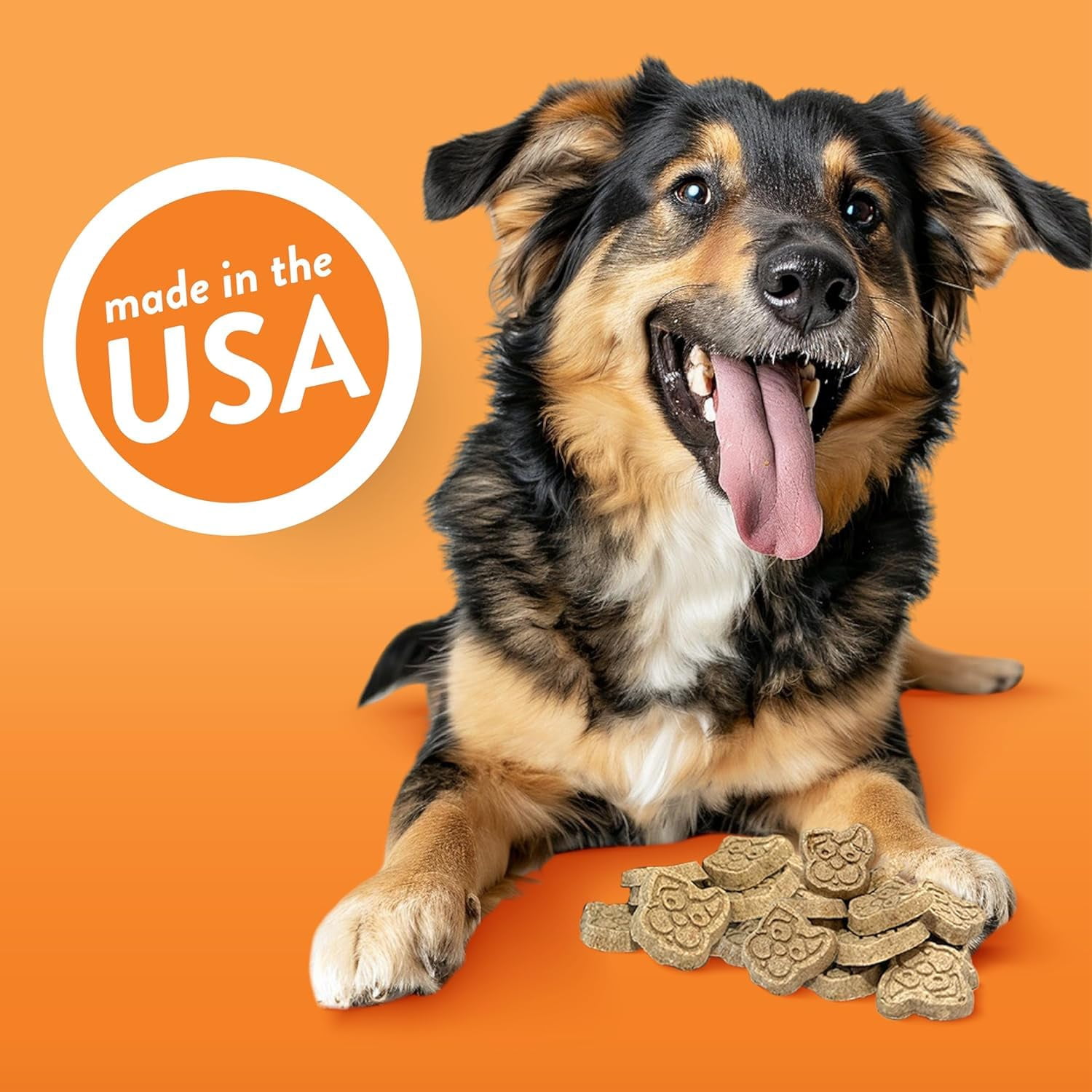 Spunky Pup D6190 6ct 10oz Cheddar Crunch Biscuits