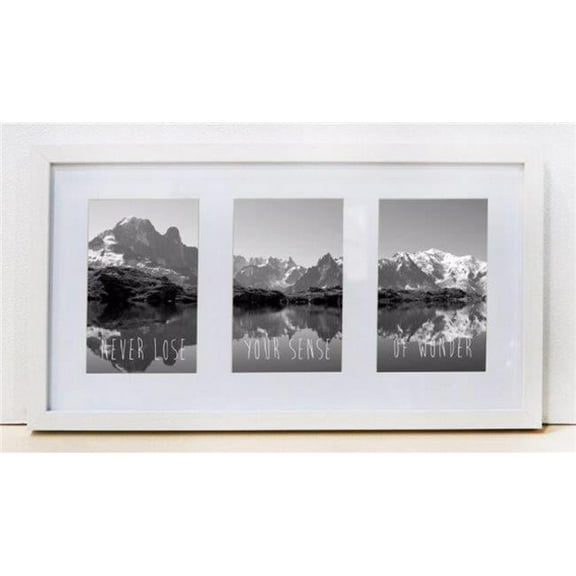 10 x 17 in. Logan White Frame