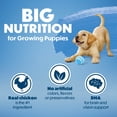 thumbnail image 6 of Purina Beneful Healthy Puppy Dog Food with Farm-Raised Chicken, 14 lb Bag, 6 of 14