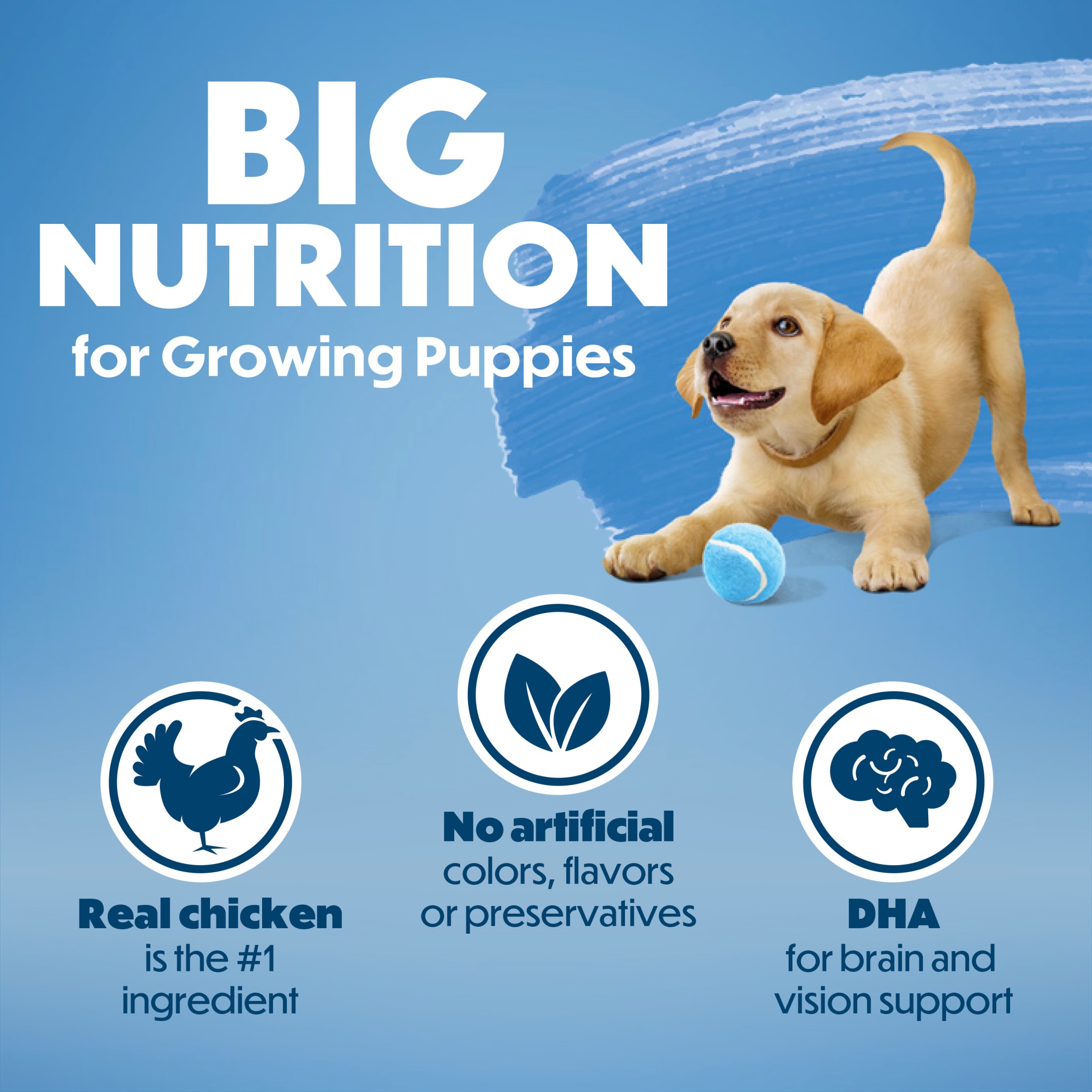 Beneful Healthy Puppy Dry Dog Food with Chicken photo 5