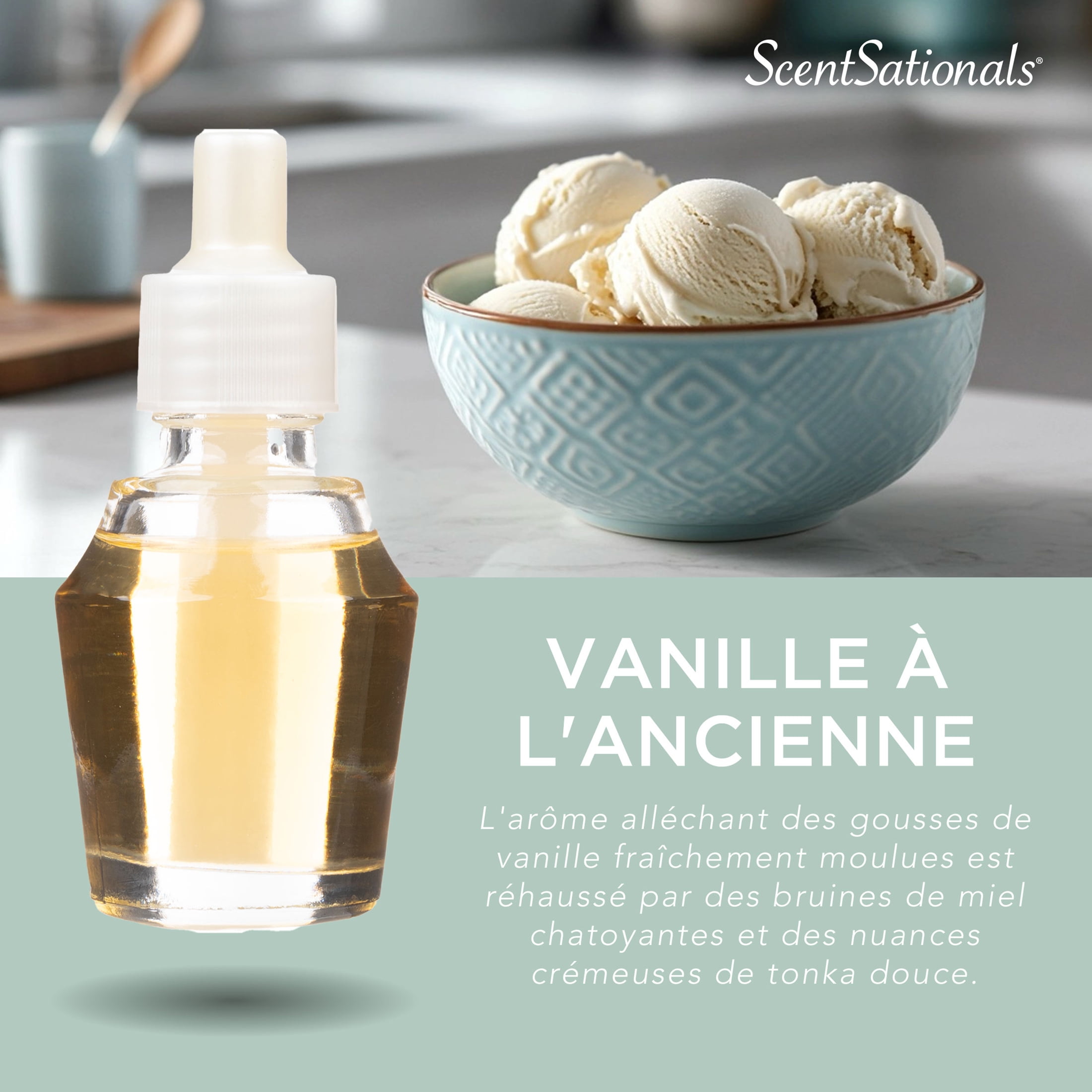 ScentSationals Scent Charm Oil - Old Fashioned Vanilla, 0.8 Fl oz, 24 mL Refill