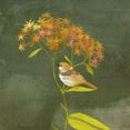 thumbnail image 3 of Zarris, Chariklia 12x12 Black Modern Framed Museum Art Print Titled - Birding Collection C, 3 of 5