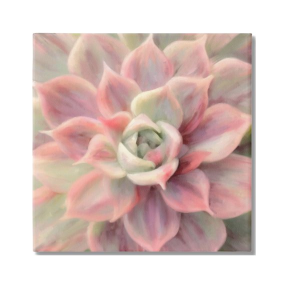 Stupell Industries Pink Symmetrical Succulent Botanical & Floral Painting Gallery Wrapped Canvas Print Wall Art, 36 x 36