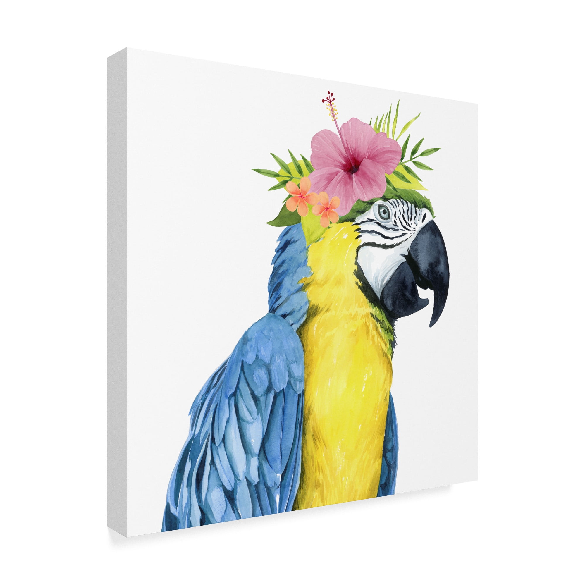 Trademark Fine Art 'Tropical Halo II' Canvas Art by Grace Popp
