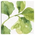 thumbnail image 1 of Cuadros Decorativos - Jardin Azul y Verde VII- Lisa Audit Jr Canvas, 1 of 2