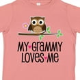 thumbnail image 4 of Inktastic Grammy Loves Me Grandchild Owl Girls Toddler T-Shirt, 4 of 5