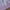 Z1-Purple, variant on eileial Toddler Girls Boys Boots Cowgirl Cowboy Boots Square Toe Mid Calf Riding Shoes Little Kid/Big Kid,Gold 2