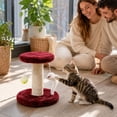 thumbnail image 5 of Small Cat Scratching Post and Small Cat Tree Natural Sisal Tower with Round Perch and Plush Ball Furniture Made for Small Cat, Kitten Relax Tree, 5 of 5