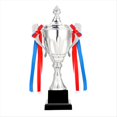 thumbnail image 1 of Copa de Trofeo de Plata de 11,8 Pulgadas para Competiciones de Reuniones Deportivas, Premios del Equipo de Fútbol y Recuerdos de Fiestas de Competición, 1 of 5