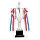 thumbnail image 1 of Copa de Trofeo de Plata de 11,8 Pulgadas para Competiciones de Reuniones Deportivas, Premios del Equipo de Fútbol y Recuerdos de Fiestas de Competición, 1 of 7