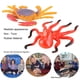 thumbnail image 4 of Nehlobo 36 Uds. Juguetes de animales submarinos figuras de juguete marino de plástico realistas juguetes educativos, 4 of 6