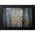 thumbnail image 2 of Zocchi, Alessandro 18x13 Black Modern Framed Museum Art Print Titled - Beech Forest in Autumn, 2 of 5