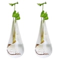 thumbnail image 1 of Wall Hanging Planter Modern: 2PCS Decorative Glass Planter Flower Vase Plant Pot, 1 of 10