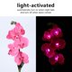 thumbnail image 1 of Luz de LED cómoda luz de solar IP65 que ahorra energía para jardín ANGGREK Otros, 1 of 8