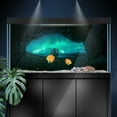 thumbnail image 3 of Aquarium Background Stickers  - Aurora Cave Rock - Fish Tank Reptile Terrarium Decor Poste, 3 of 6