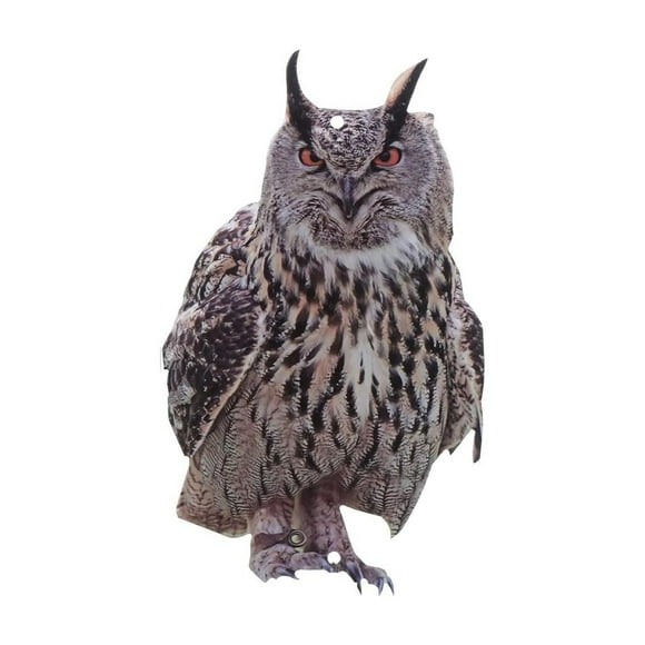 Dsscvnef Bird Artifacts Are Coming! Owl Reflective Double Acrylic Bird Guarding Orchard Balcony Patio Easy to Annoying Birds Effective! the Dark Decorations Garland for Decorating