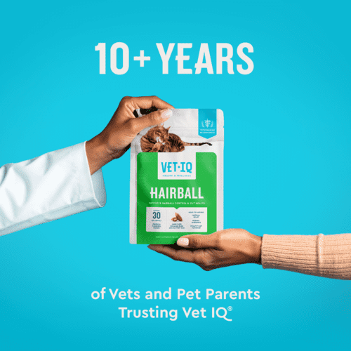 Vet IQ Hairball Health Supplement for Cats, Chicken Flavored Crunchy Chews, Approx. 30 Day Supply