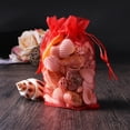 thumbnail image 4 of 100 Pcs Clear Gift Bags Birthday for Presents Sheer Organza Gifts Drawstring Small Red, 4 of 6