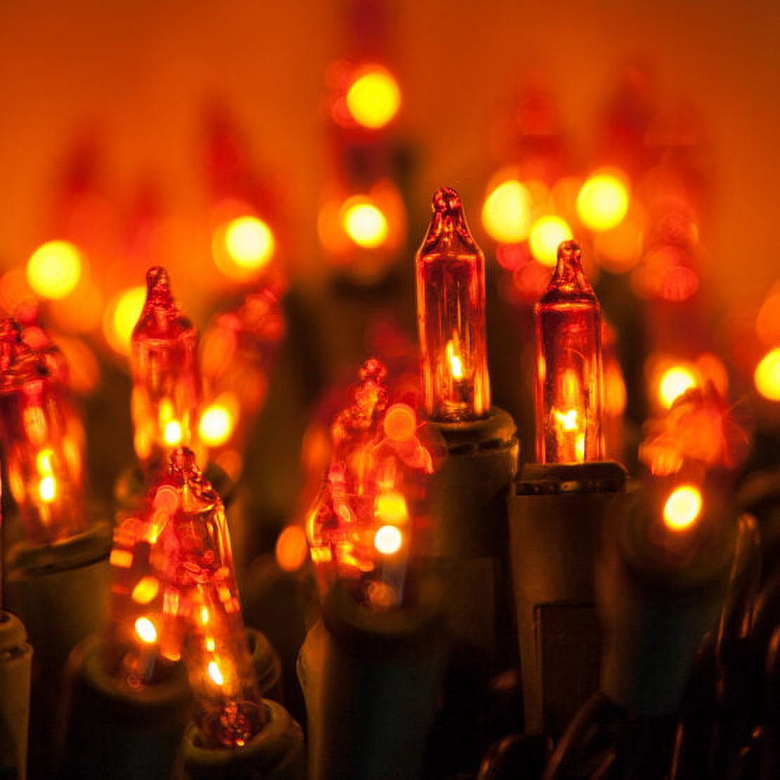 Kringle Traditions 100-Ct Indoor-Outdoor Halloween Orange Mini Lights Set - 50' Green Wire
