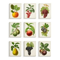 Stupell Industries Vintage Fruits Kitchen Dining Room Painting Designs 9pc Canvas Wall Art Set by Vision Studio
