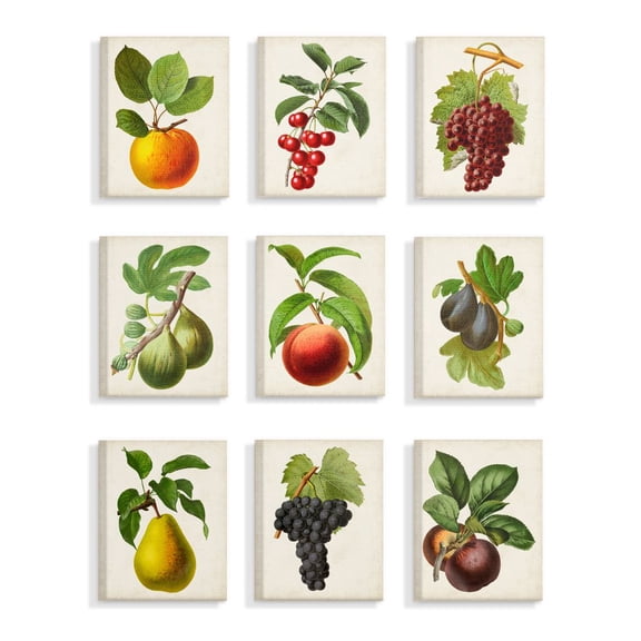 Stupell Industries Vintage Fruits Kitchen Dining Room Painting Designs 9pc Canvas Wall Art Set by Vision Studio