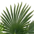 thumbnail image 2 of vidaXL Artificial Plant Palm with Pot Green 70 cm, 2 of 2