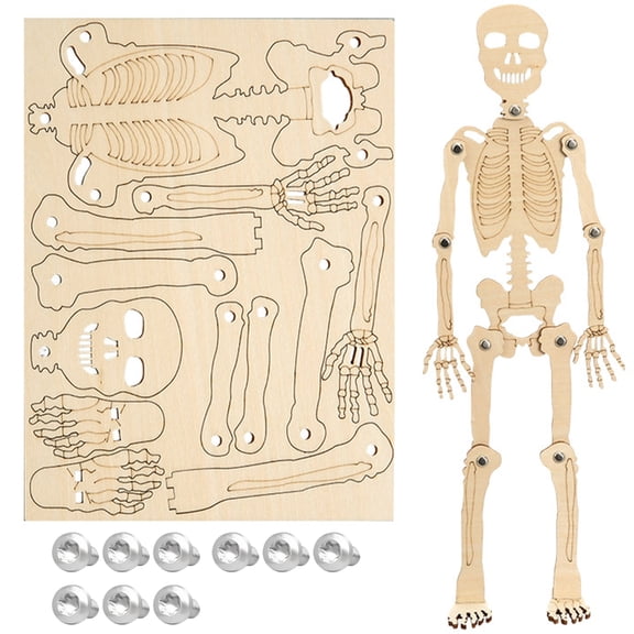 Sinyiin 2PCS Human Skeleton Assembly Kits Set STEM Learning Tool For Classroom Experiment Interactive Biology Study Project