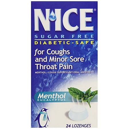 2 Pack N'ice Lozenges Sugar Free Menthol Eucalyptus 24 Lozenges Each