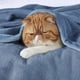 thumbnail image 2 of Manta Bedsure GentleSoft de Franela XL Azul Lavado 127x178 cm, 2 of 7