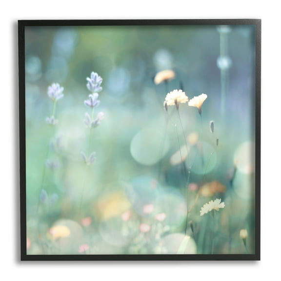 Stupell Industries Cottage Meadow Photography Botanical & Floral Photography Black Framed Art Print Wall Art, 12 x 12
