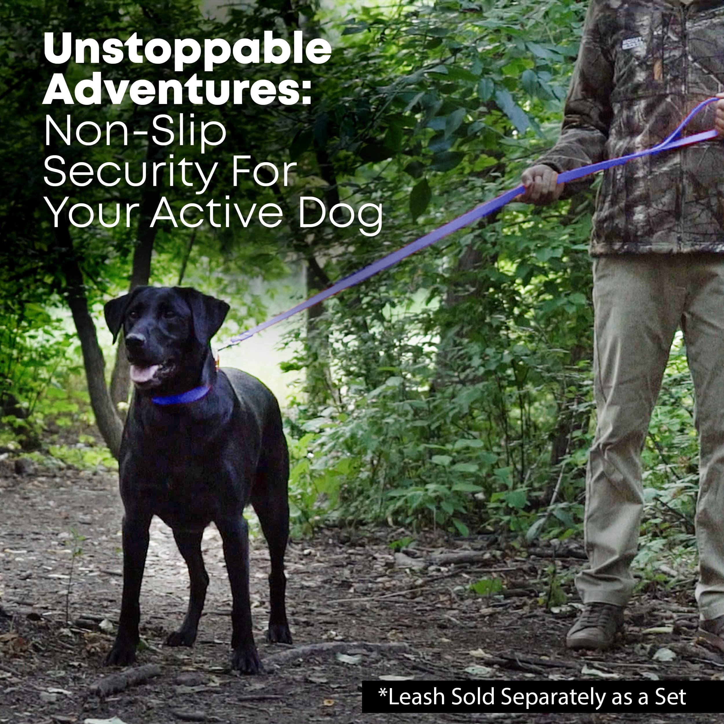 Regal Dog Products Waterproof Collar with Black Hardware - Easy to Clean, Water Resistant, Double Buckle & Center Ring