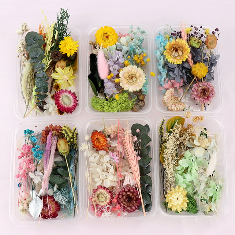 1 Box Real Natural Dried Flower Dry Plants Making Craft DIY Colorful  Aromatherapy Candle Epoxy Resin Jewelry For Home Decoration - AliExpress