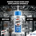 Easy Off Pro Fume Free Oven Cleaner, Destroys Tough Burnt on Food and