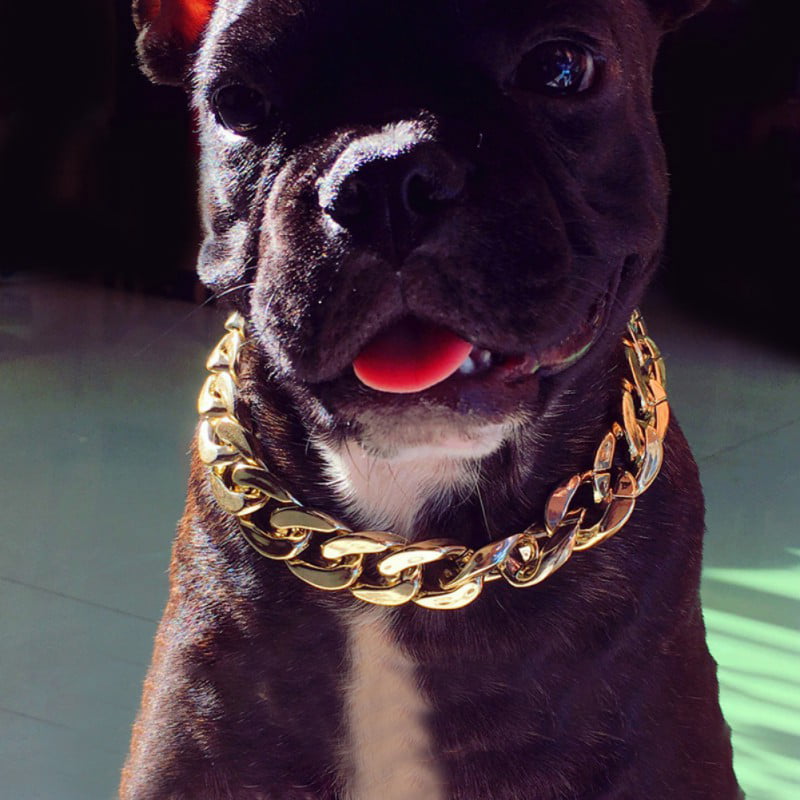 necklace for pitbull
