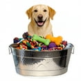 thumbnail image 2 of BREKX Home + Party Metal Dog Toy Bin Oval Stainless Steel (25QT), 2 of 7