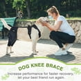 Dog ACL Knee Brace Support for Pets with CCL Cruciate Ligament Injuries