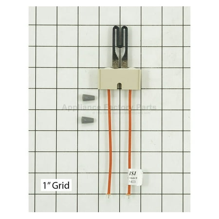 

IGNITOR PUR118 DS403